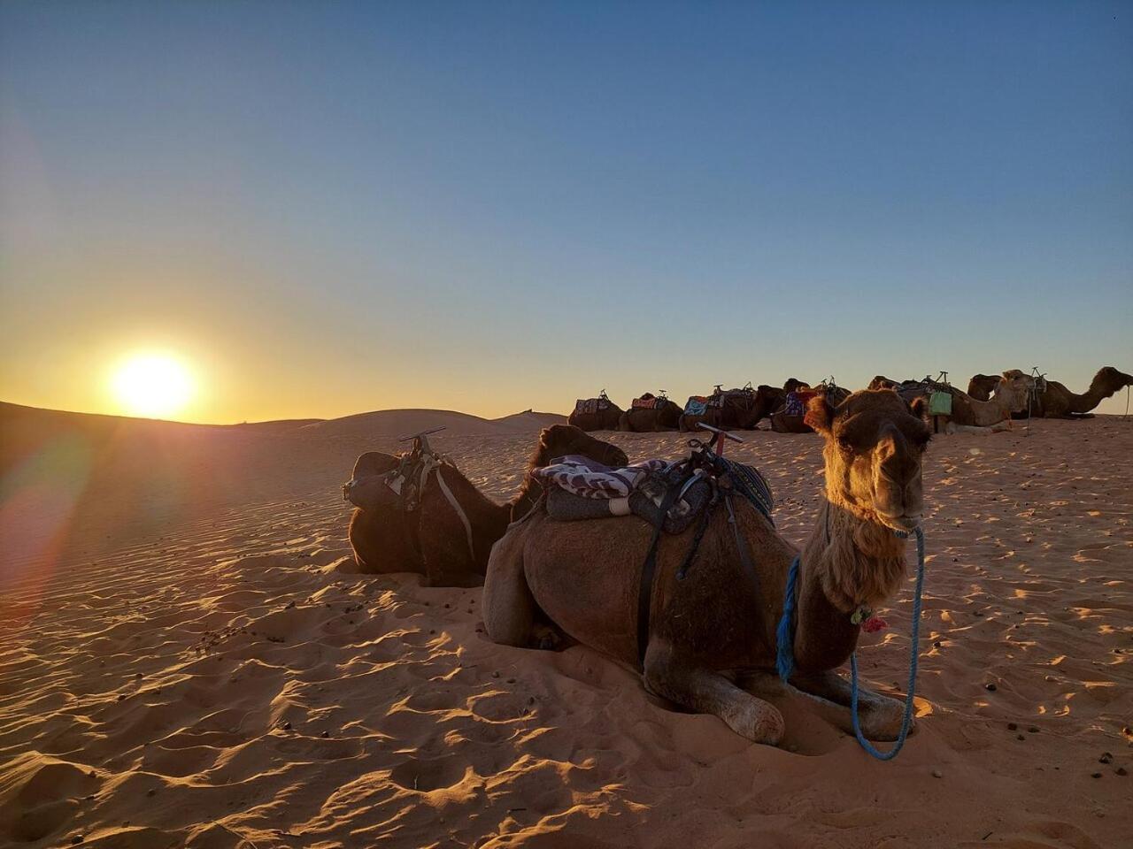 Desert Experience Glamping Merzouga Exterior photo